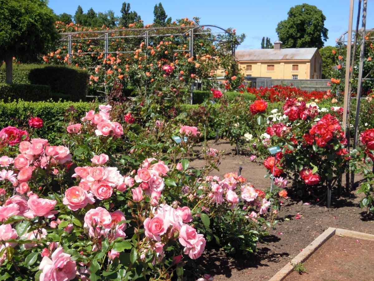 Woolmers Estate Longford 外观 照片
