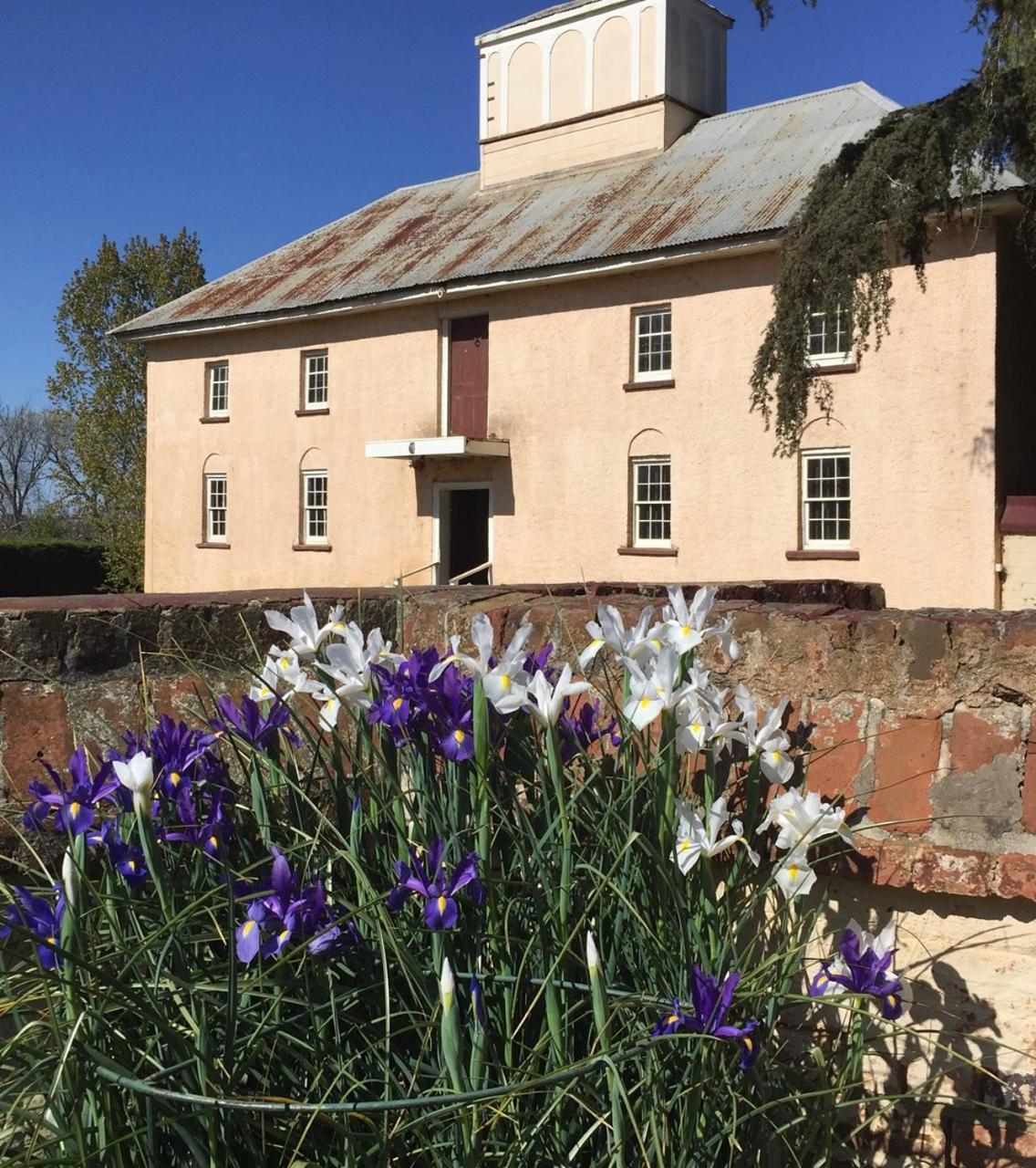 Woolmers Estate Longford 外观 照片