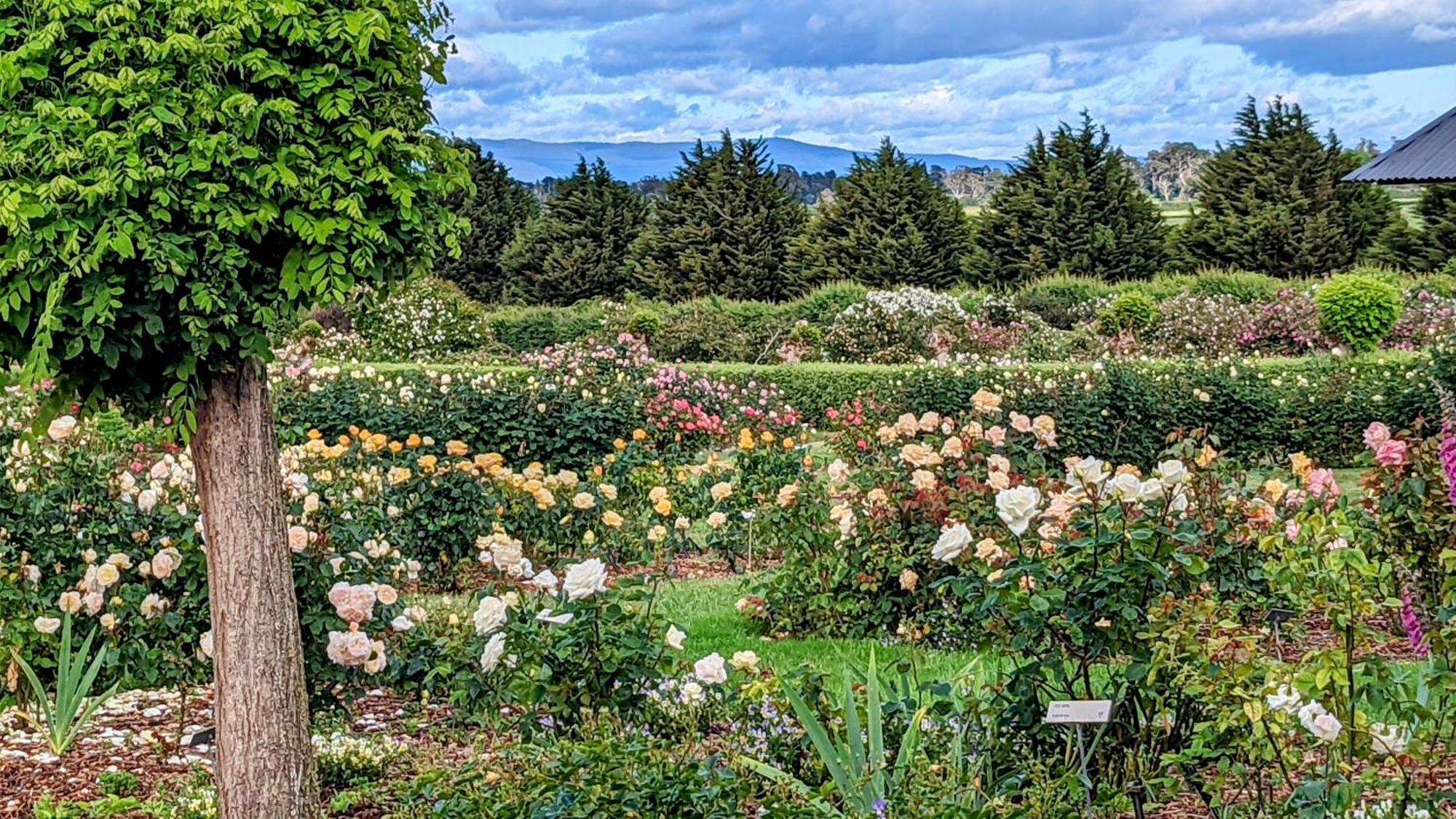 Woolmers Estate Longford 外观 照片