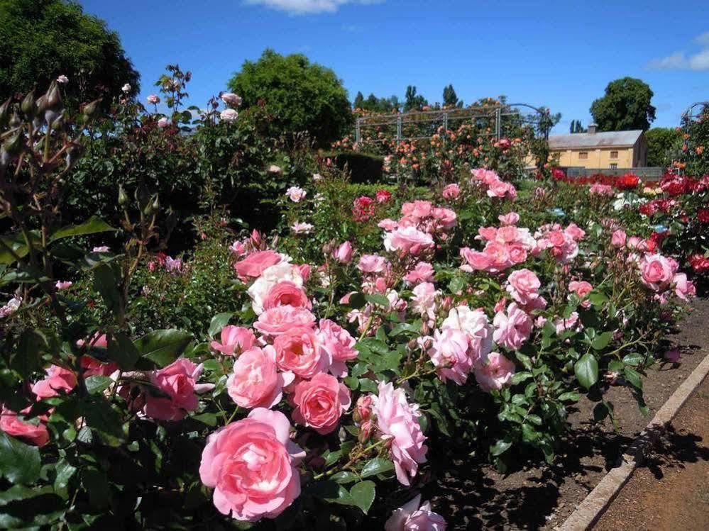 Woolmers Estate Longford 外观 照片