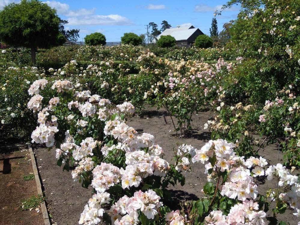 Woolmers Estate Longford 外观 照片